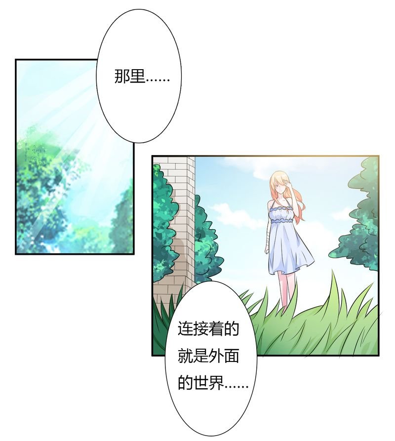 第25章：莫小黛怀孕