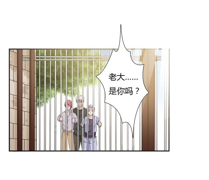第25章：莫小黛怀孕