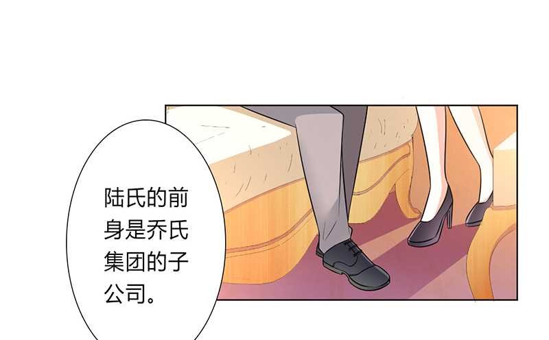 第47章：陆氏的前后身世