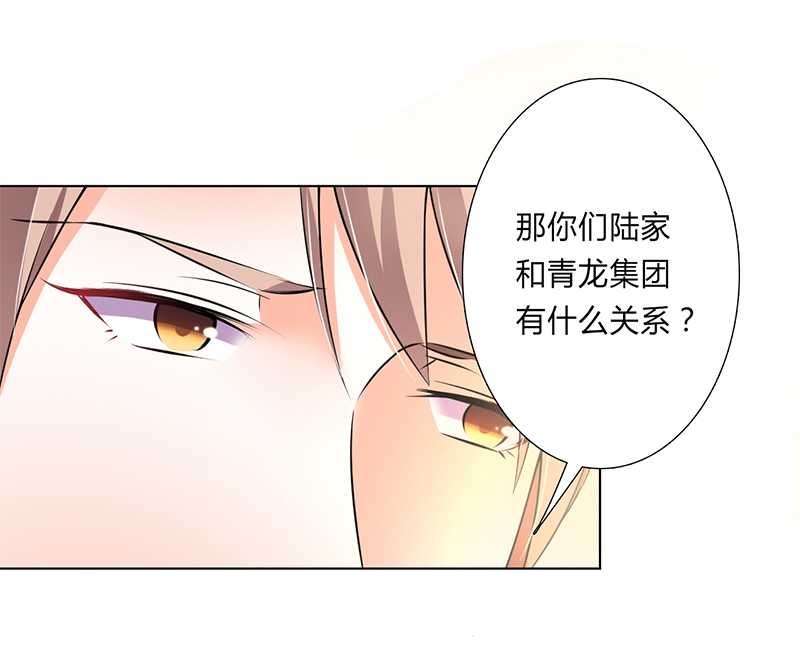 第47章：陆氏的前后身世