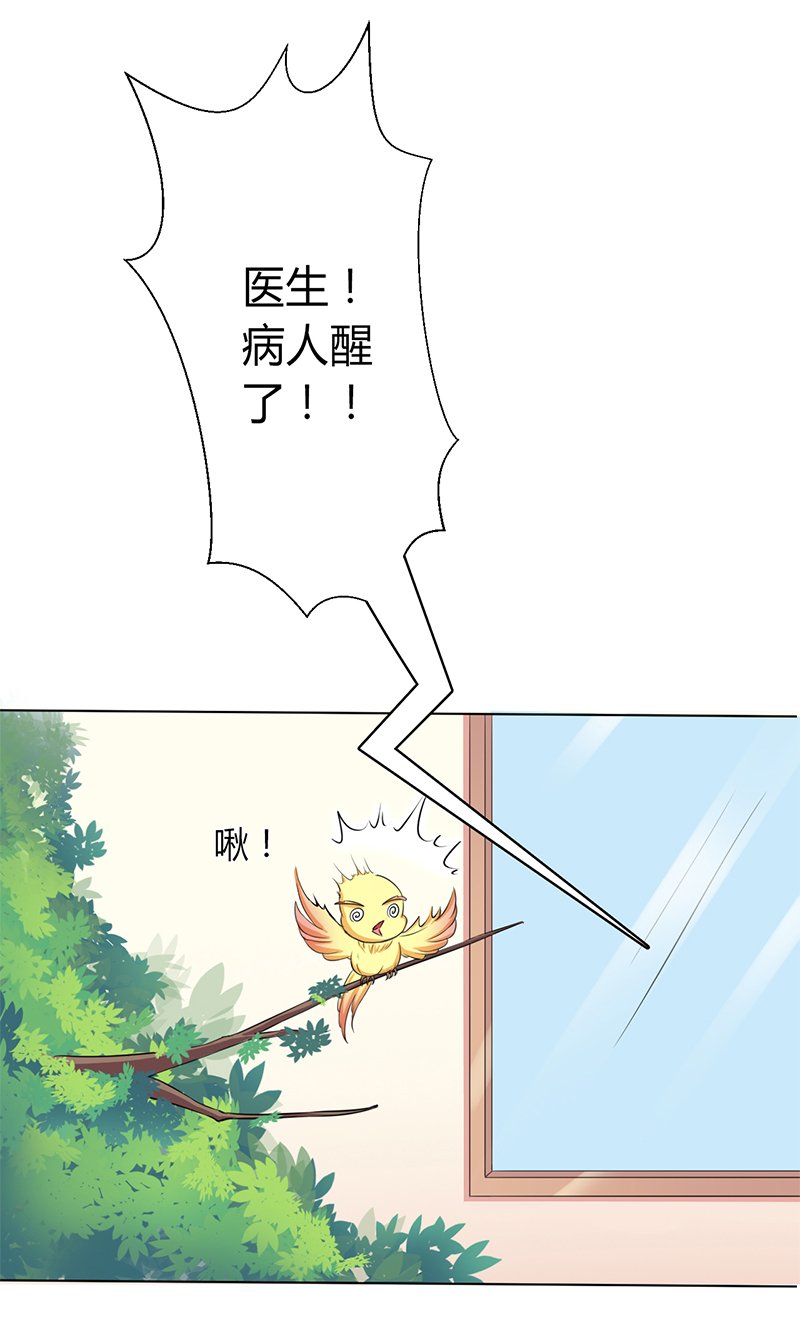 第70章：你终于醒了