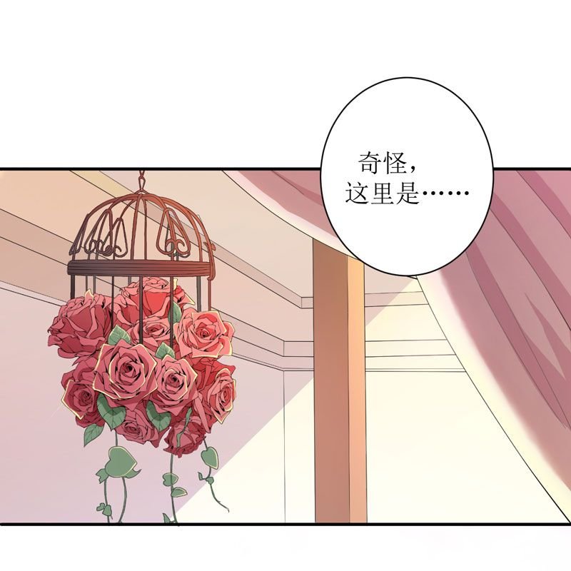 第3章：行使夫妻权利