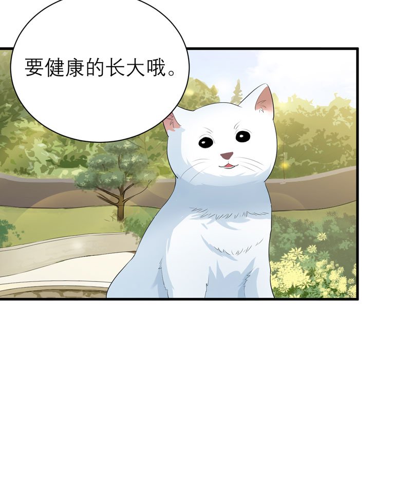 第53章：跟我联手吧