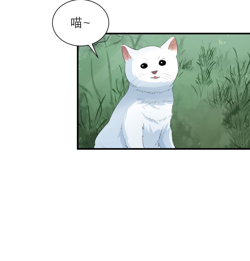 第61章：心凉了还会暖吗