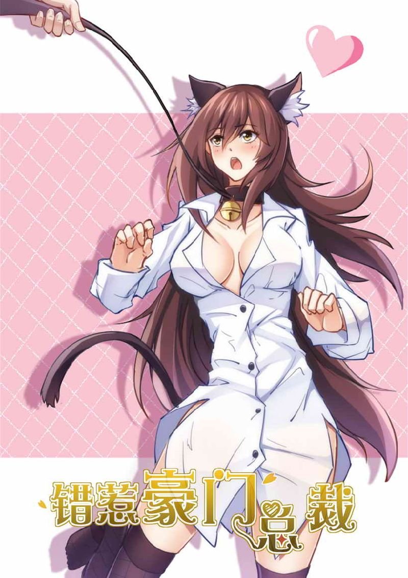 第29章：小妖精！