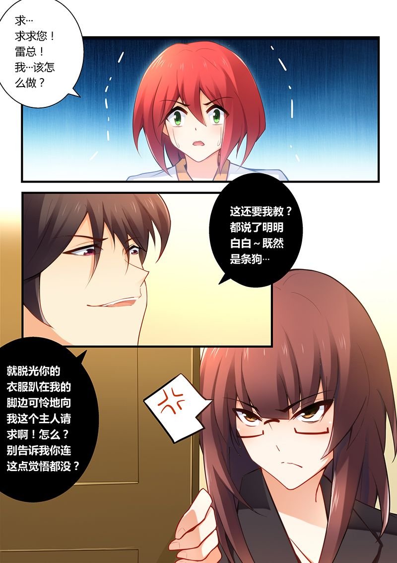 第38章：总裁办公室