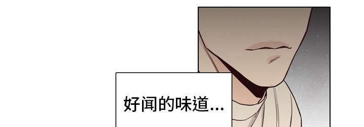 第12章：嘲讽