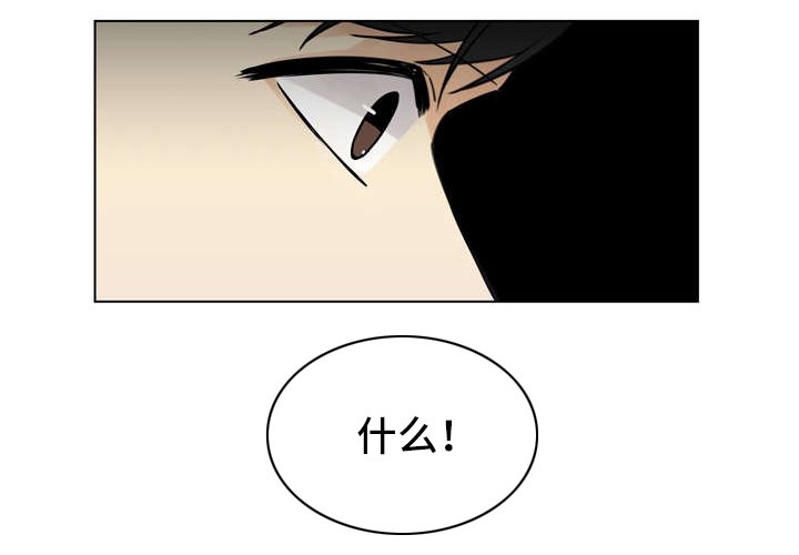 第13章：惊讶