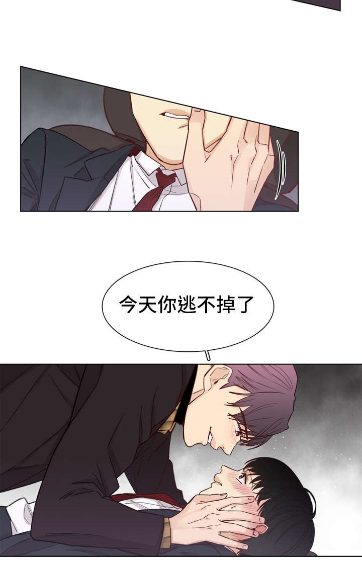 第17章：喜欢你
