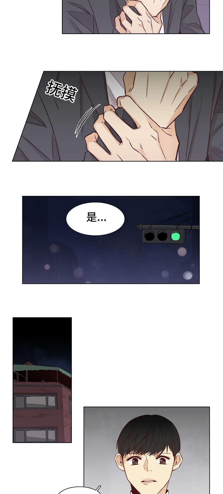 第29章：疼痛