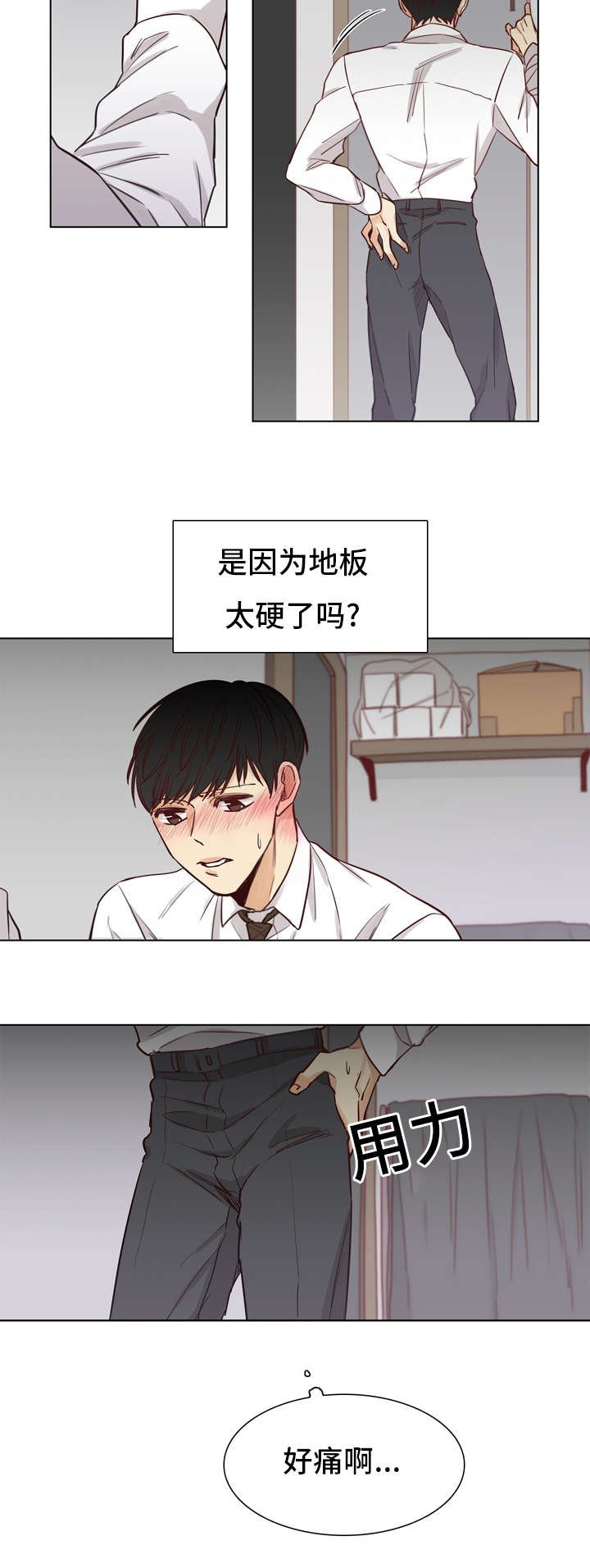第29章：疼痛