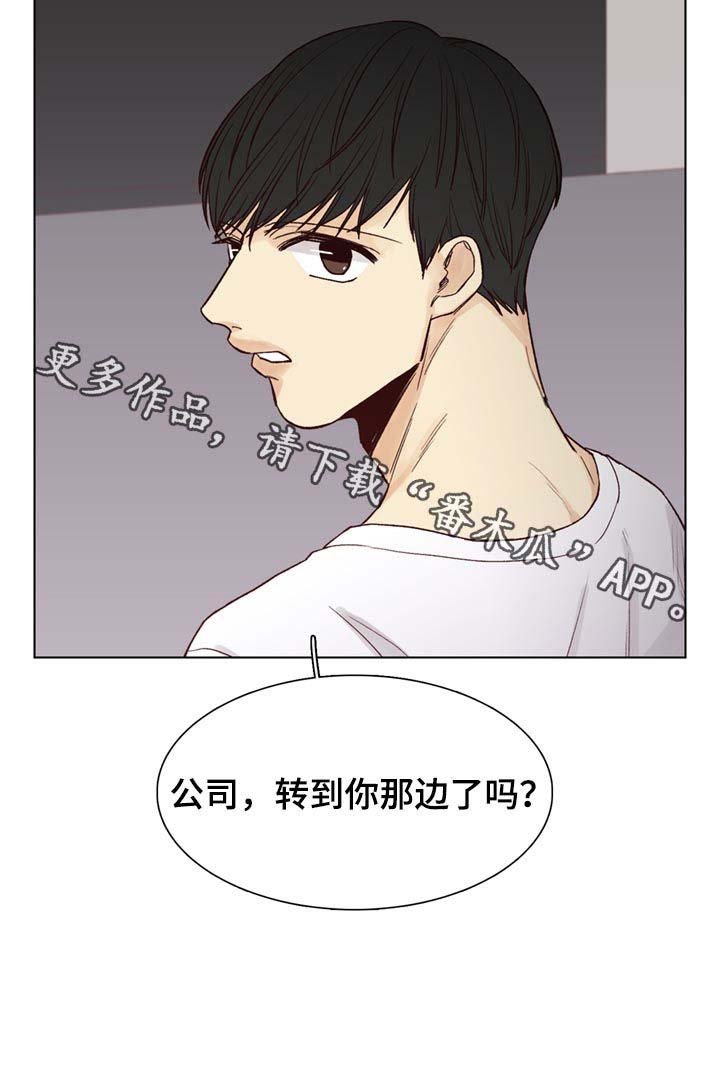 第60章：【第二季】公司