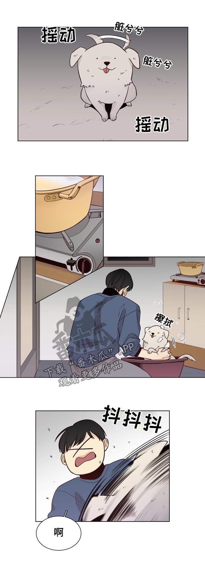 第65章：【第二季】入住