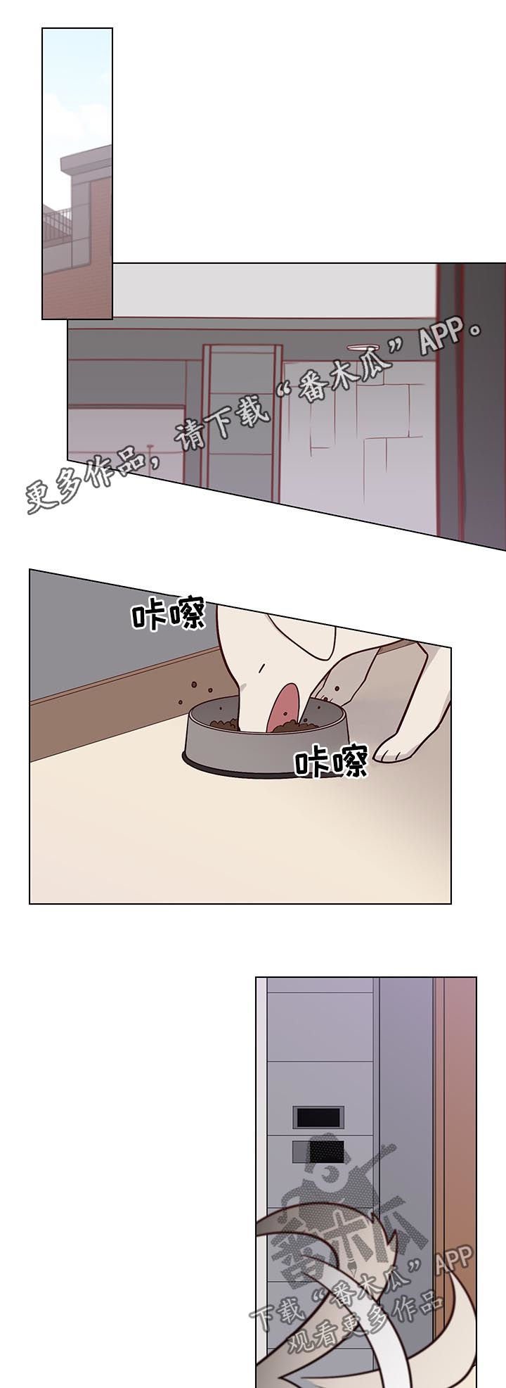 第88章：后记：和平且幸福