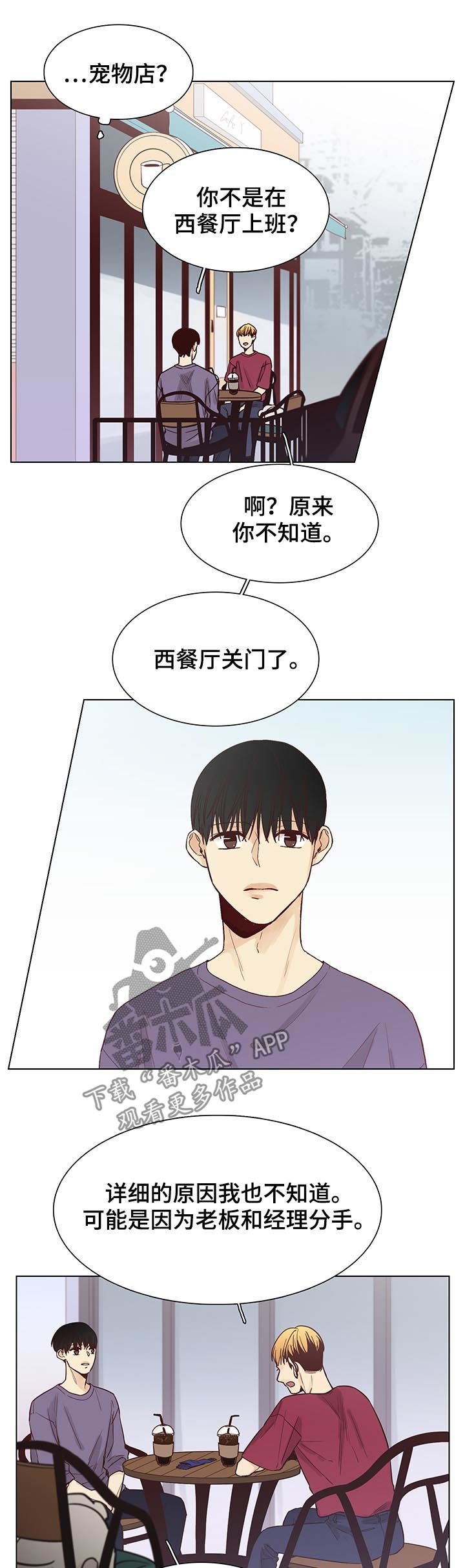 第88章：后记：和平且幸福