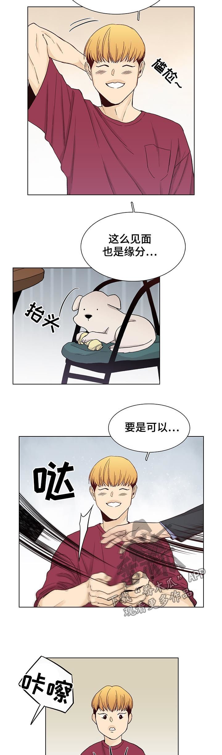 第89章：后记：照片