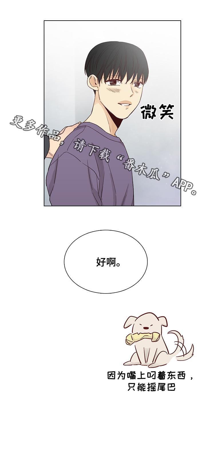 第89章：后记：照片