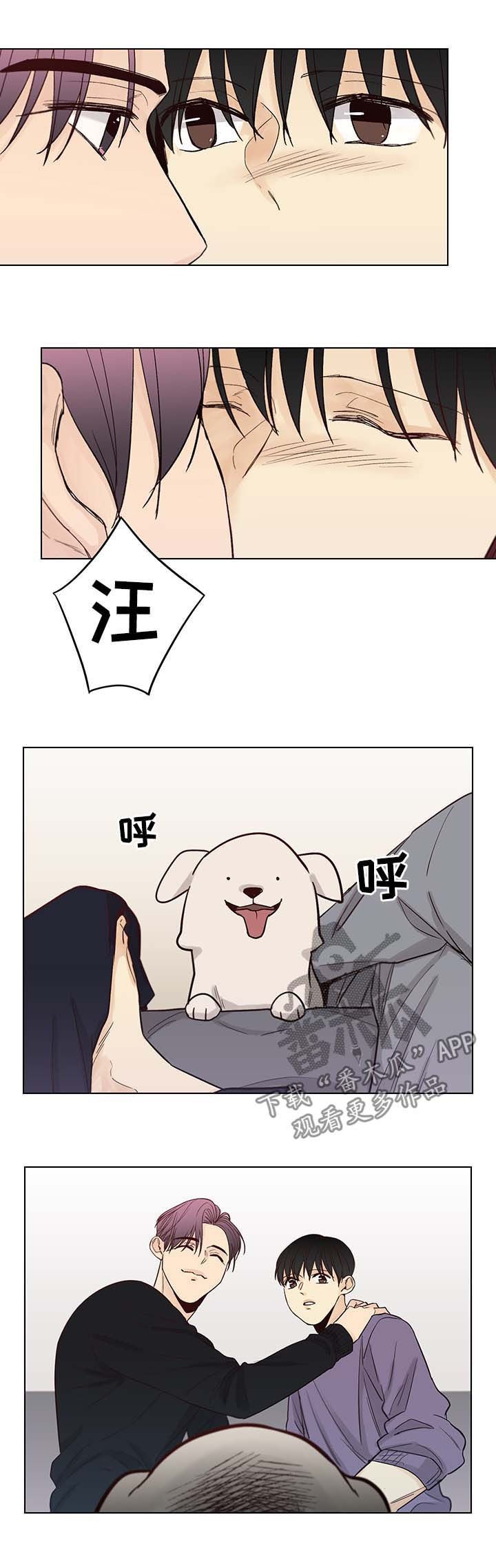第90章：后记：出身之谜