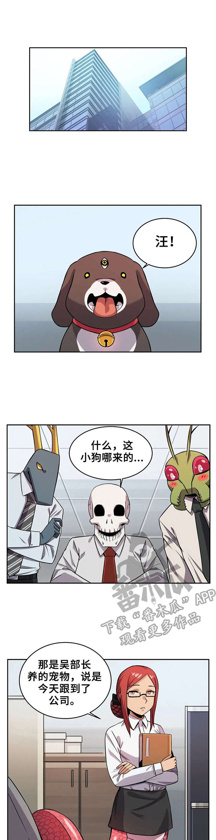 第13章：伴侣犬