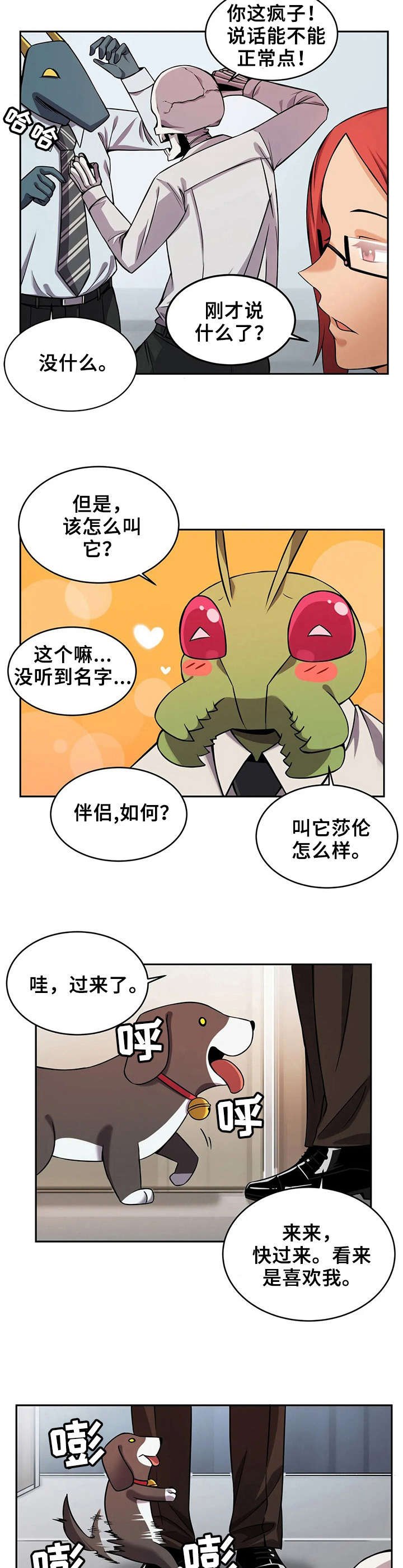 第13章：伴侣犬