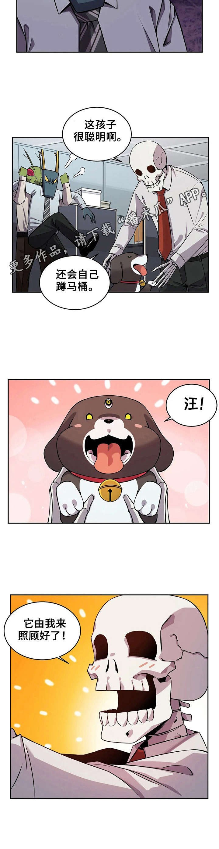 第13章：伴侣犬
