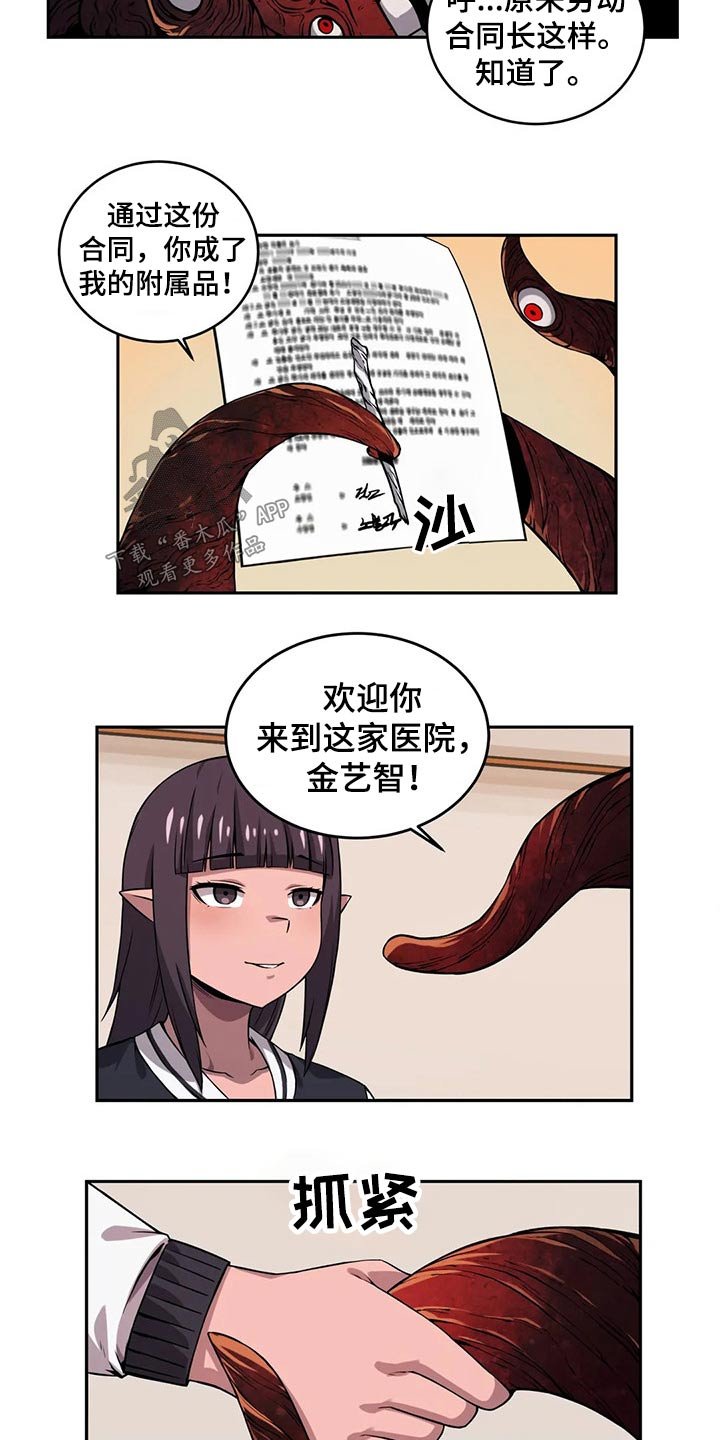 第48章：工作经验