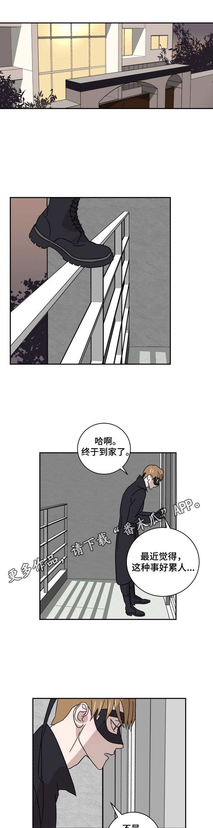 第15章：调查