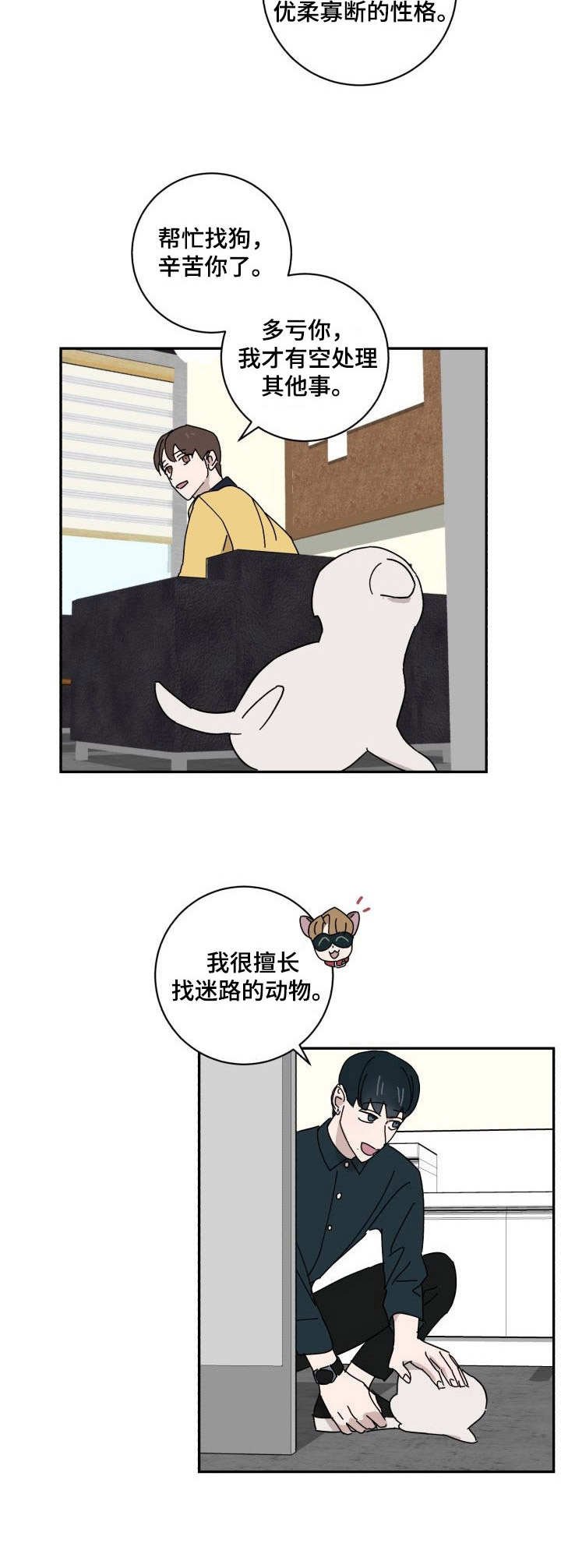 第23章：评分