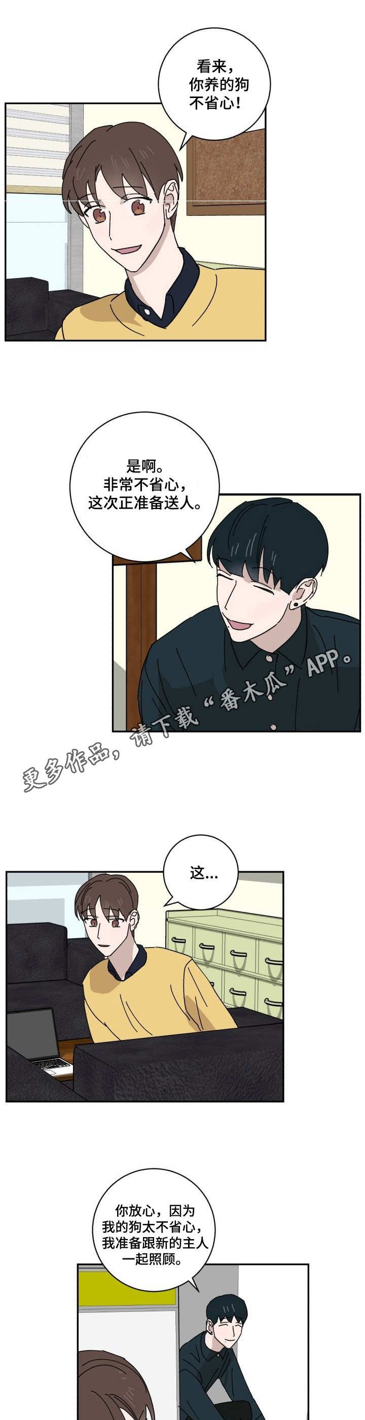 第23章：评分