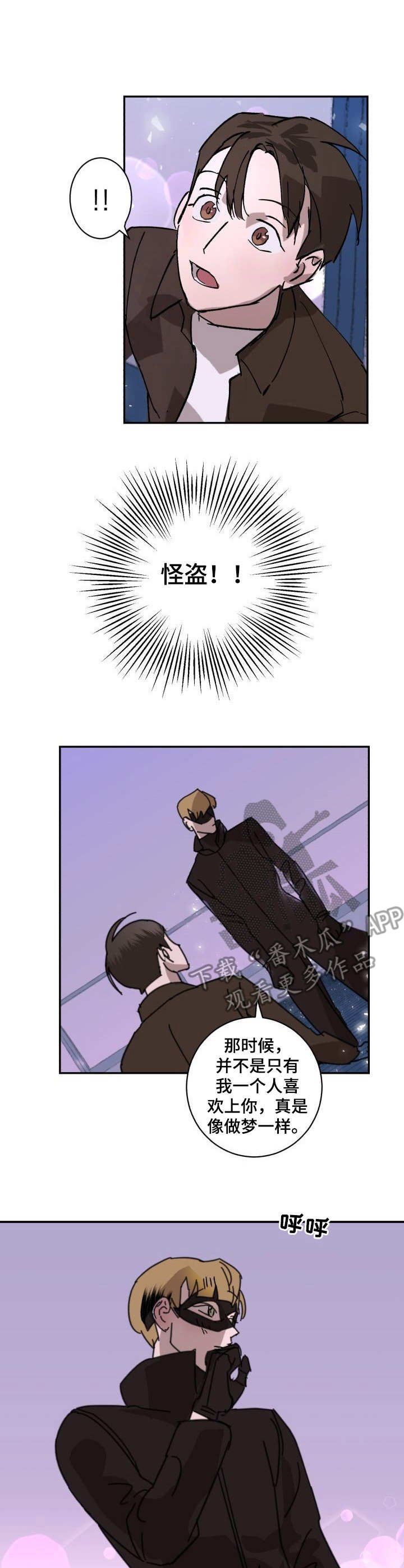 第3章：侠盗