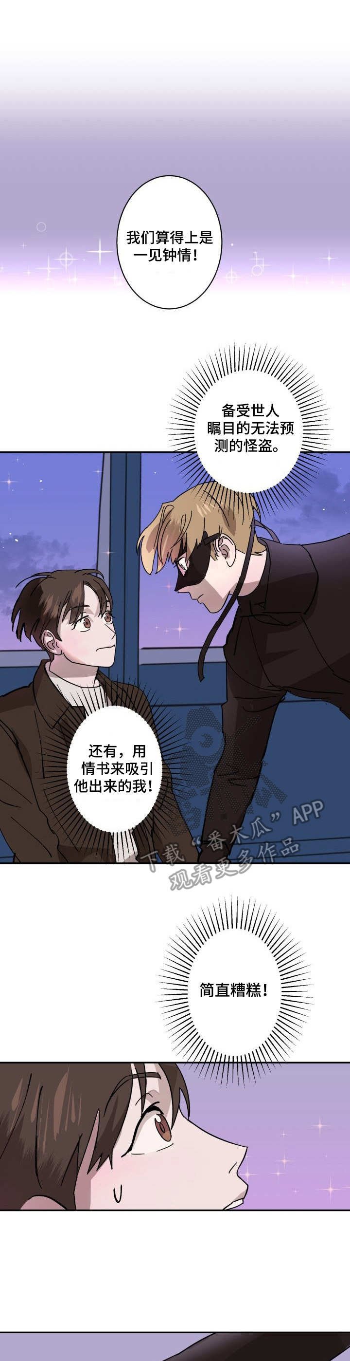 第3章：侠盗