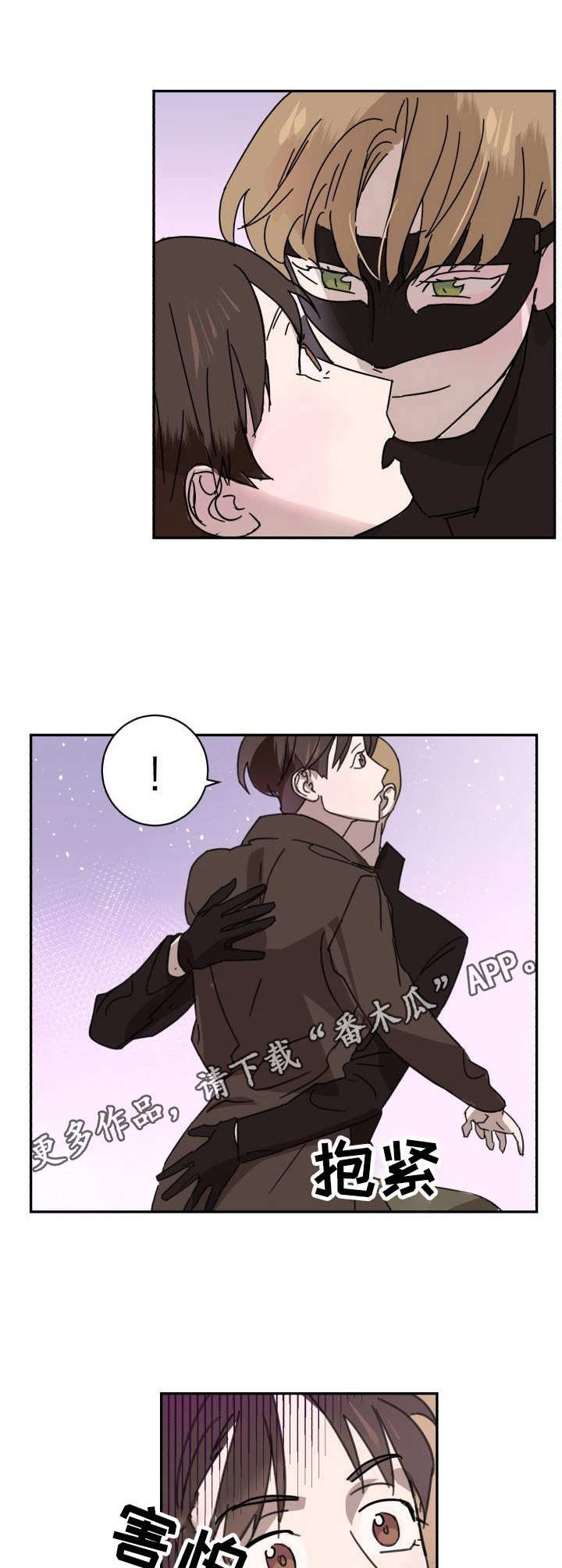 第3章：侠盗