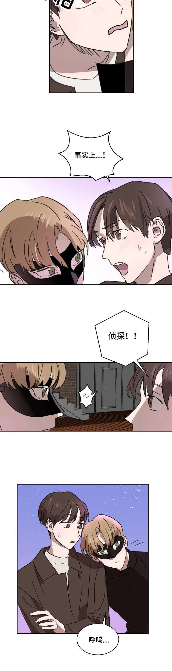 第3章：侠盗