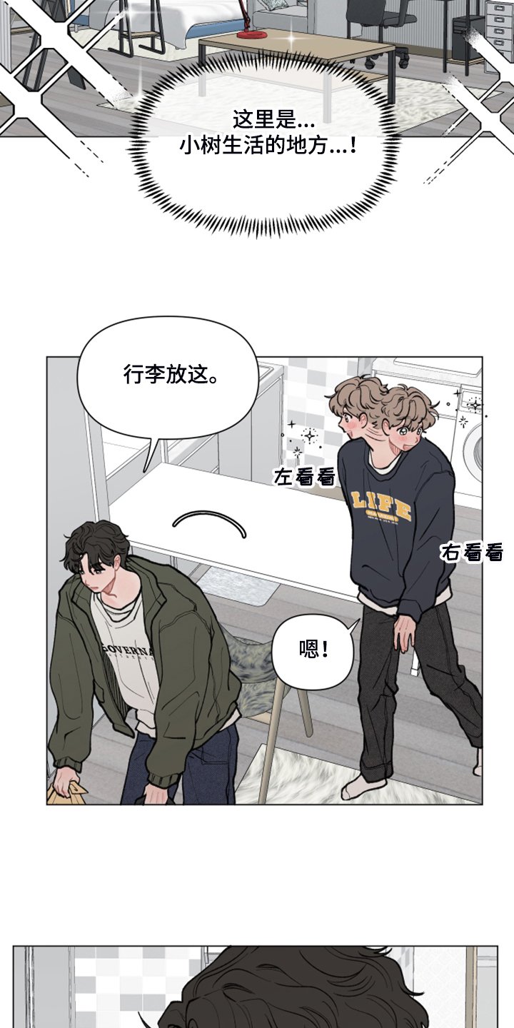 第59章：【第二季】小树的家
