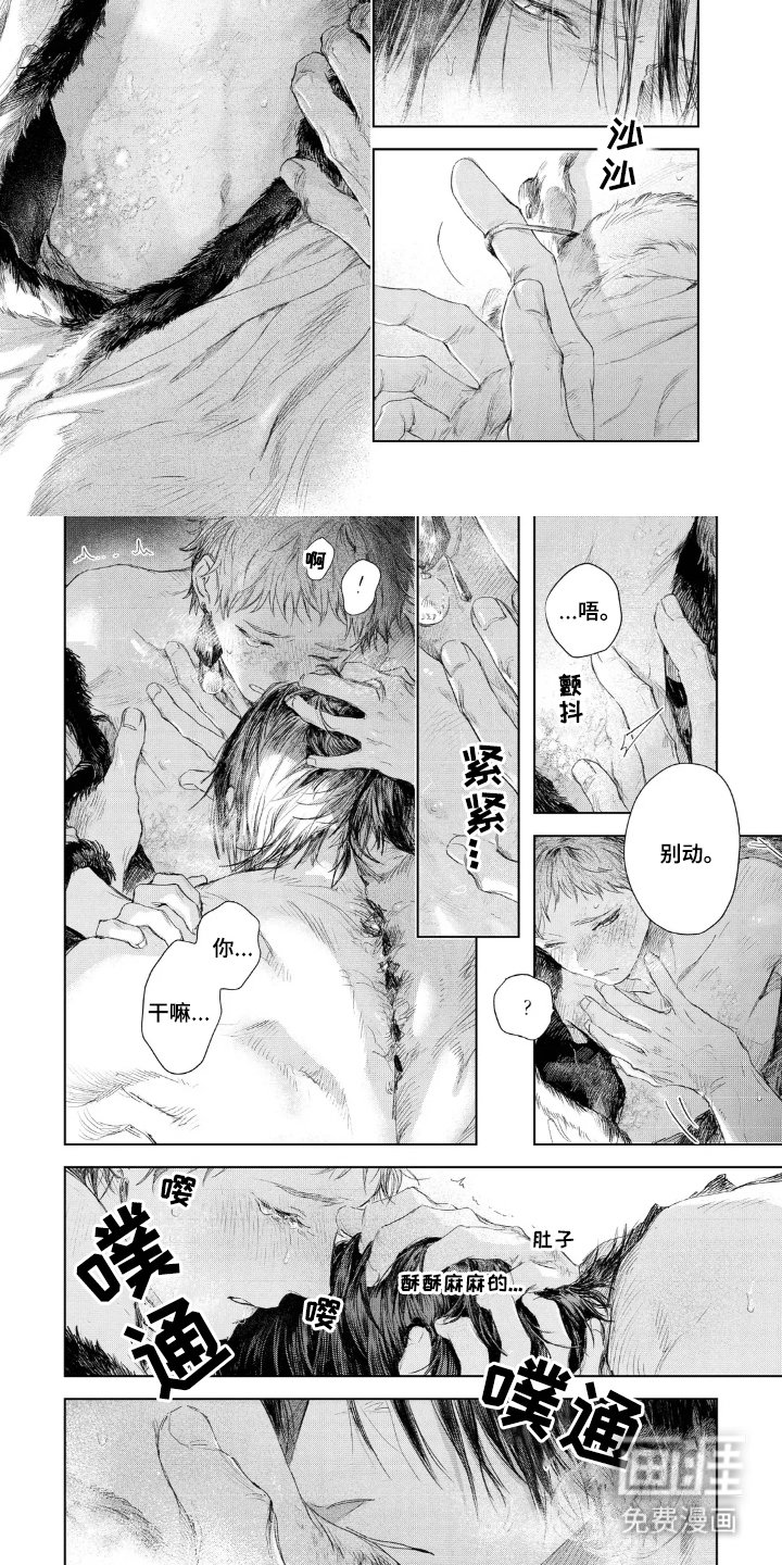第19章：错觉