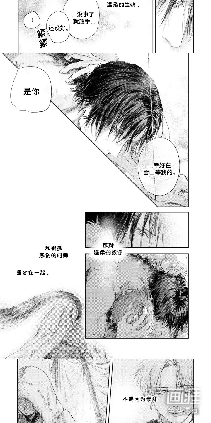 第20章：温柔的生物
