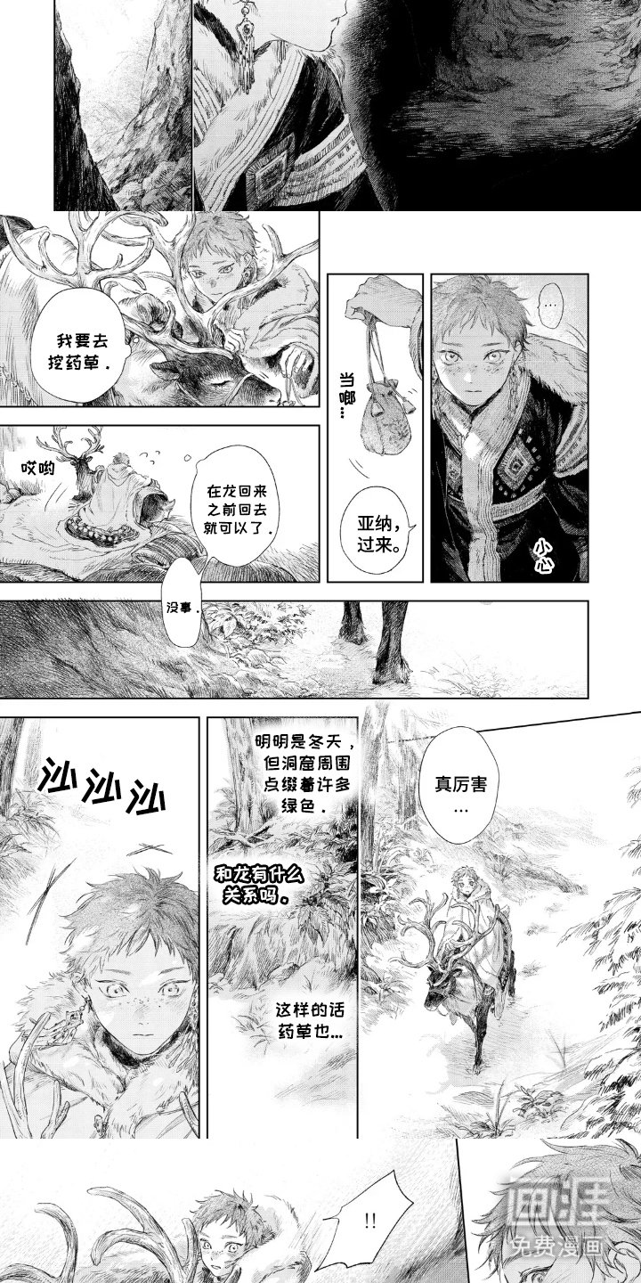第3章：药草