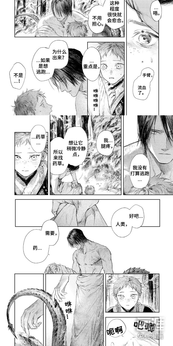 第3章：药草
