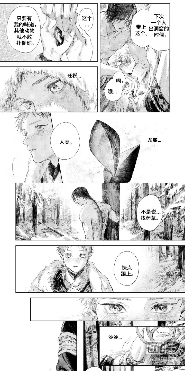 第4章：龙鳞