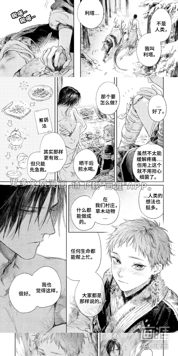 第4章：龙鳞