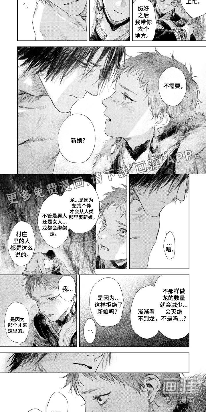 第5章：龙化
