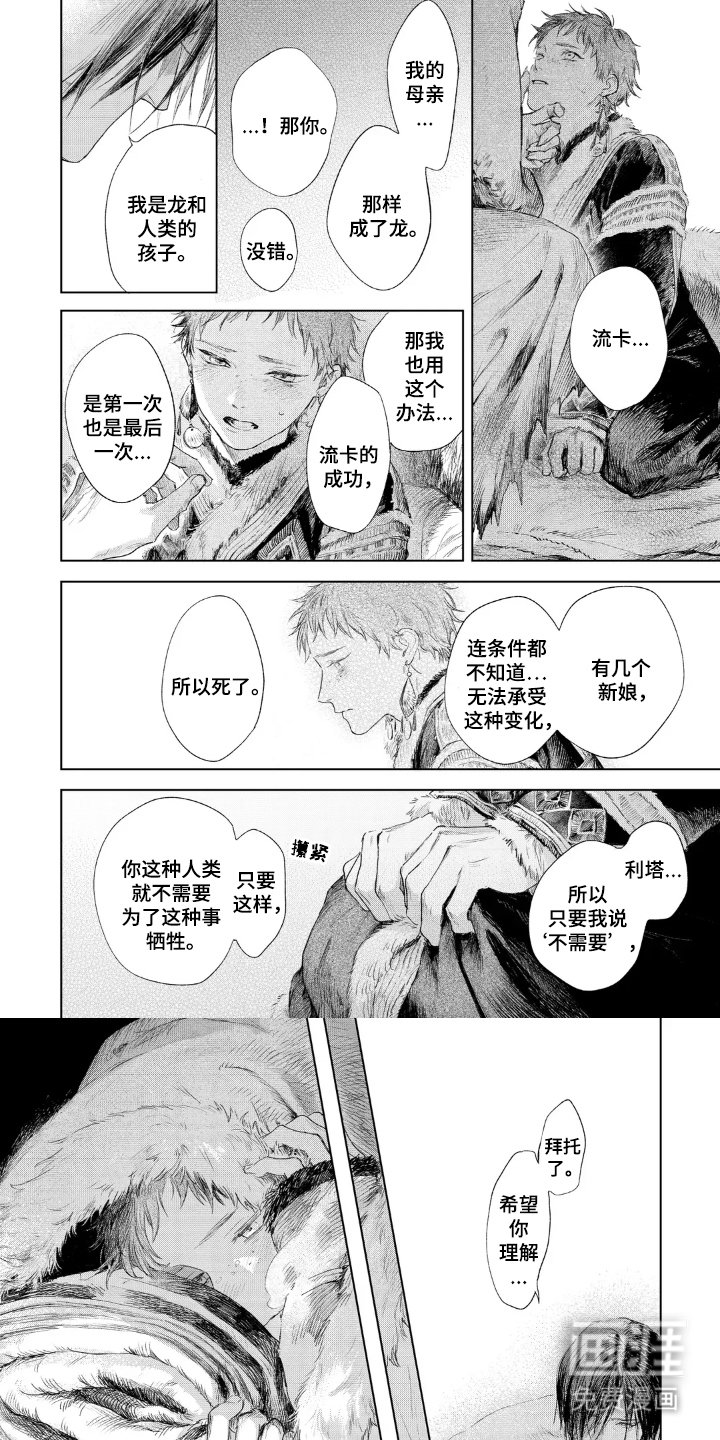第6章：粉末