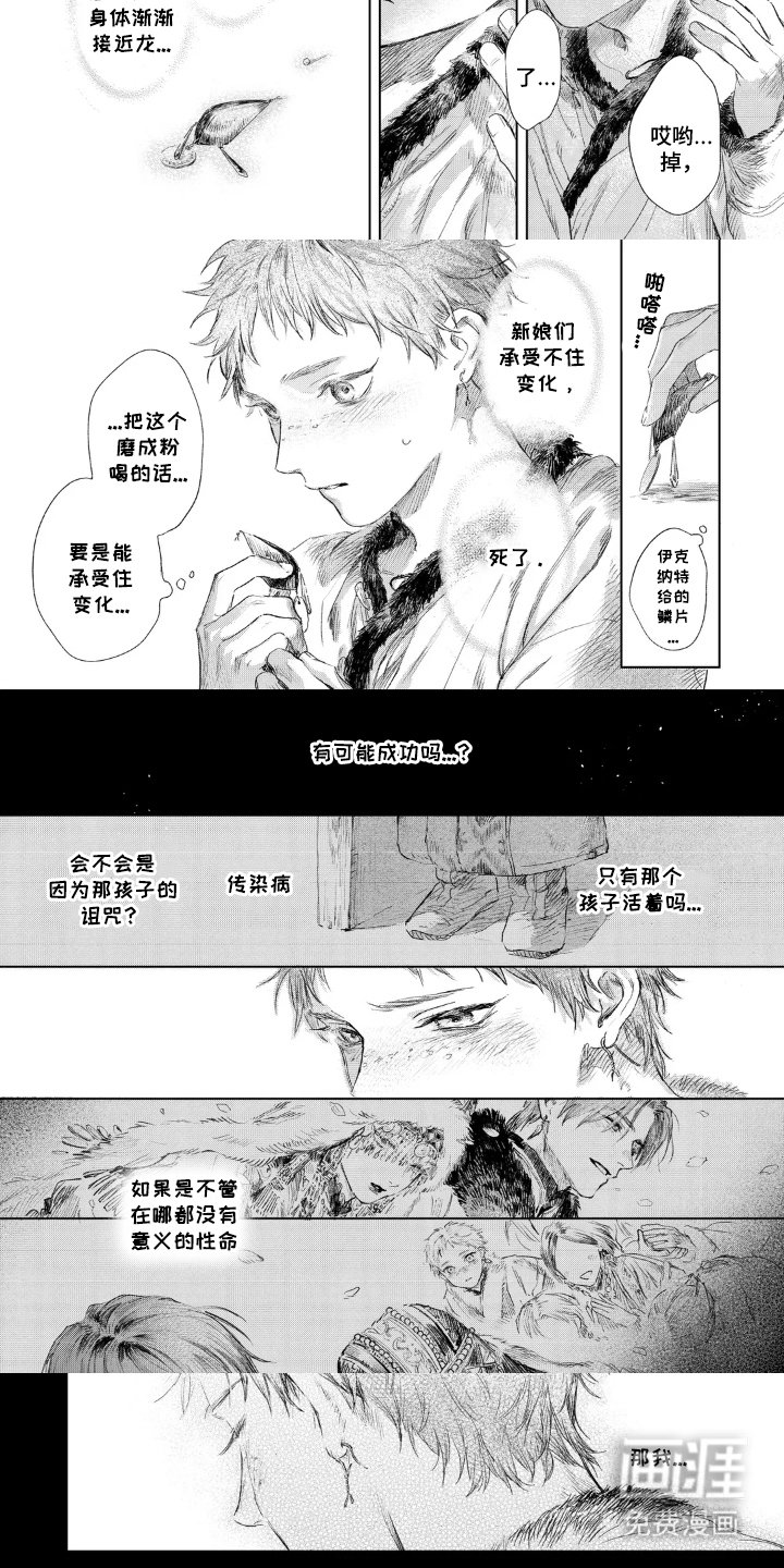 第6章：粉末