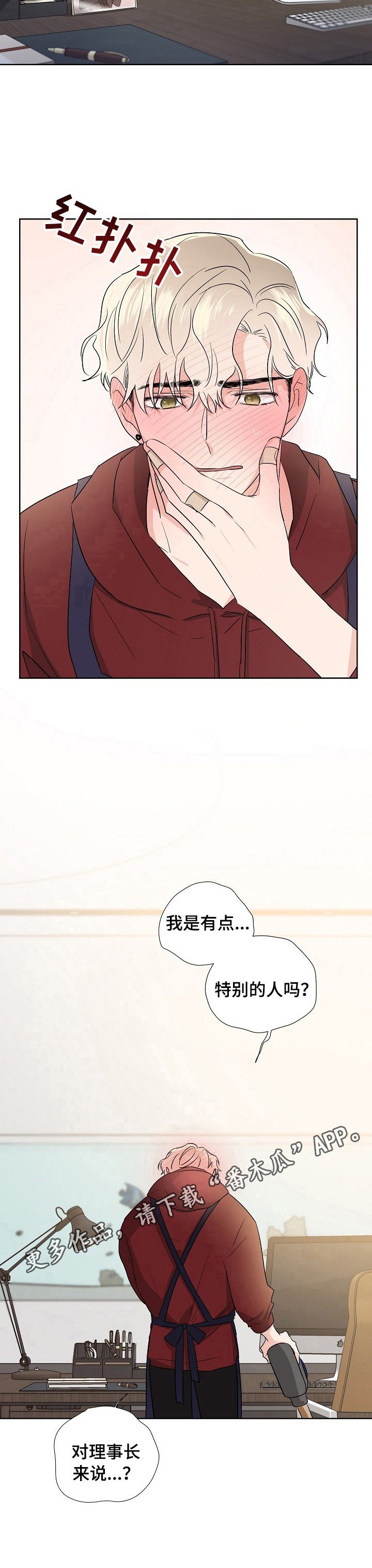 第16章：特别