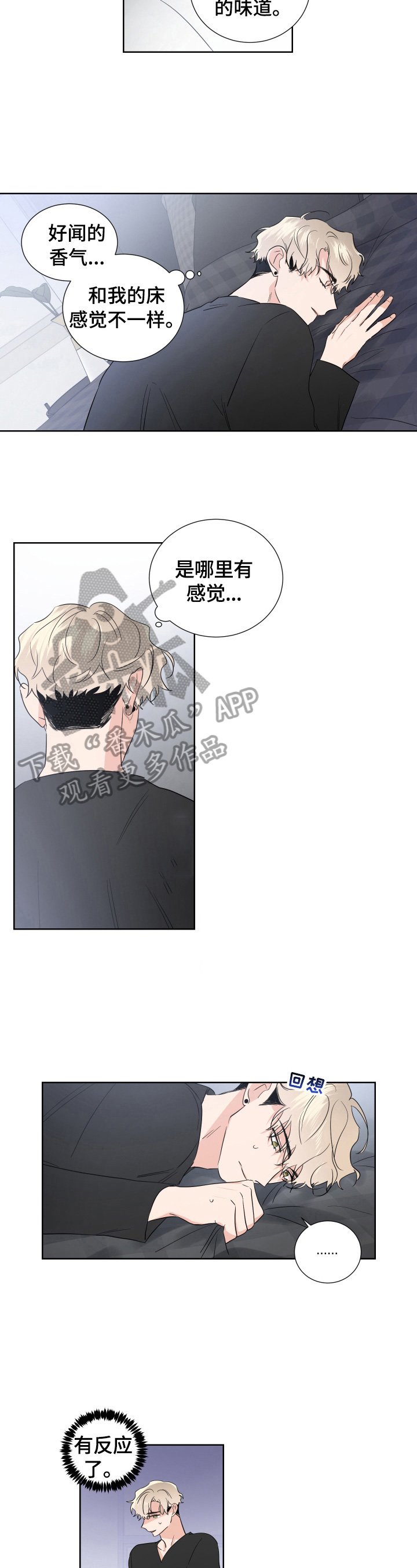 第20章：决定