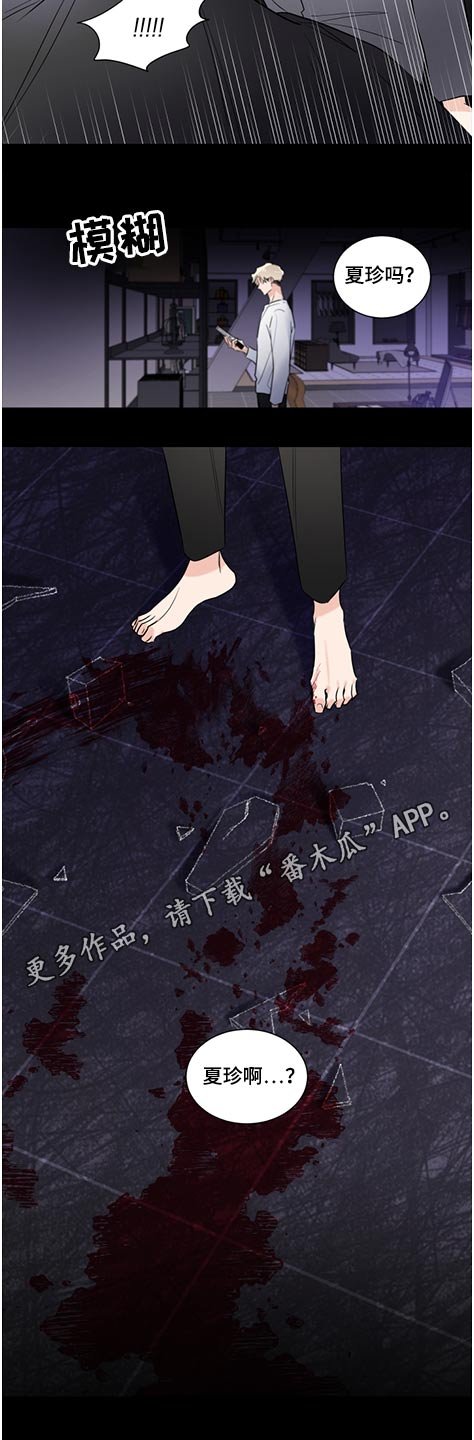 第52章：破碎