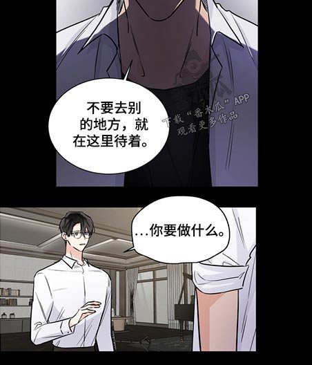 第61章：调解