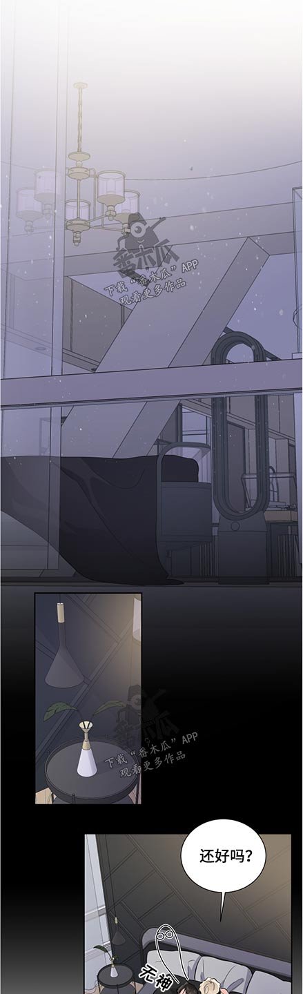 第65章：保护