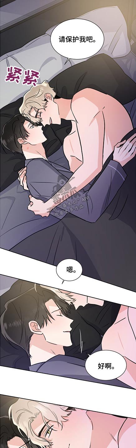 第65章：保护