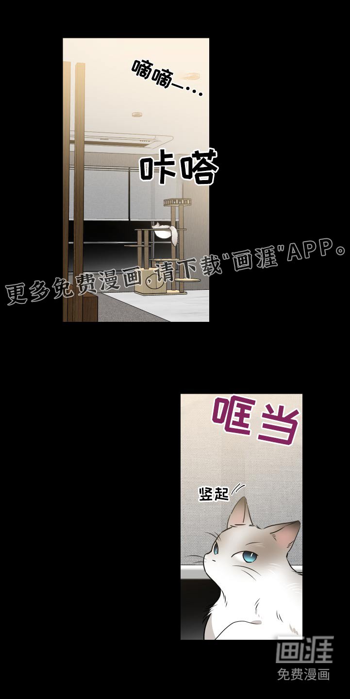 第82章：名片